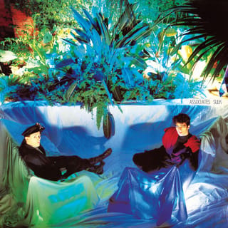 Sulk (Deluxe)