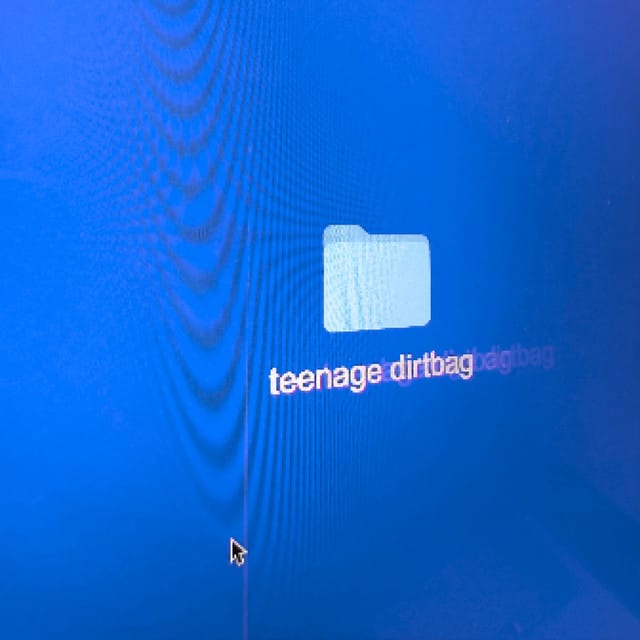 Teenage Dirtbag - Single