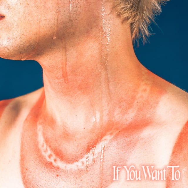 If You Want To - Single