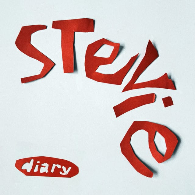Stevie - Single