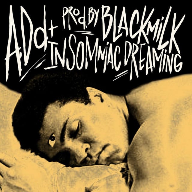 Insomniac Dreaming - Single