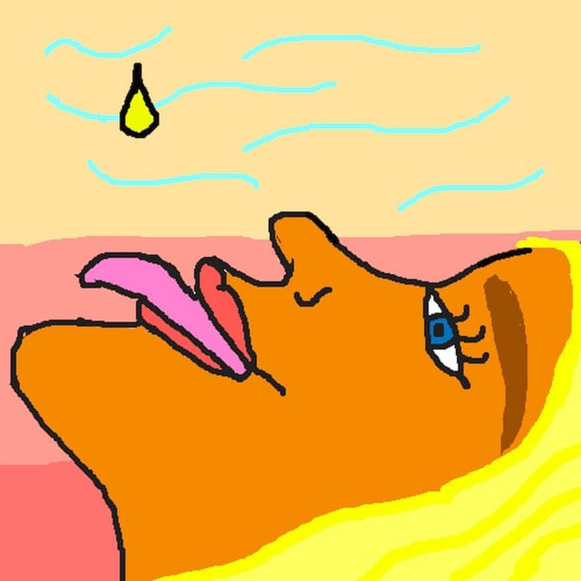 Honey