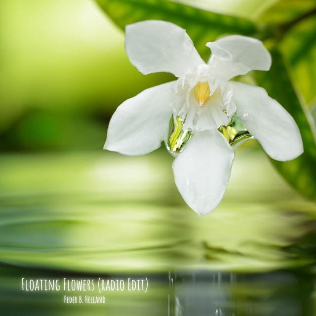 Floating Flowers (Radio Edit) - Single