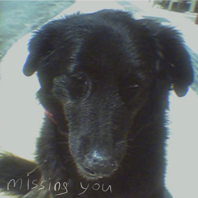 missing you - EP