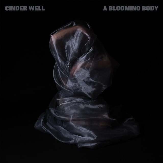 While the Womb Screams Silently - Single