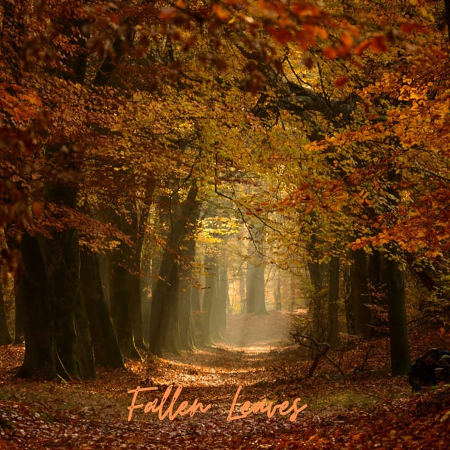 Fallen Leaves - Single