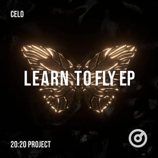 Learn to Fly