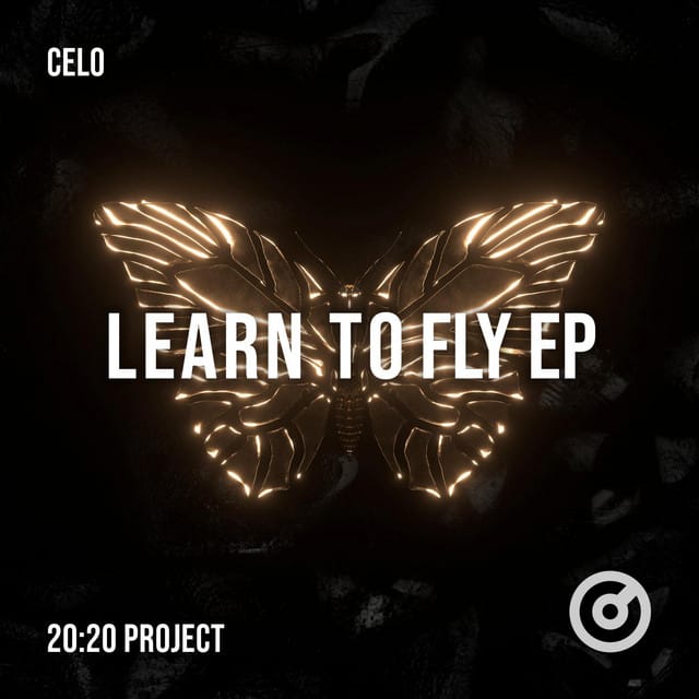 Learn to Fly
