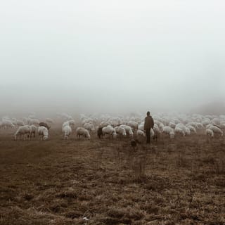 And Dream of Sheep (Piano Version) - EP