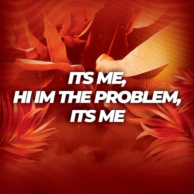 It's Me, Hi I'm the Problem, It's Me
