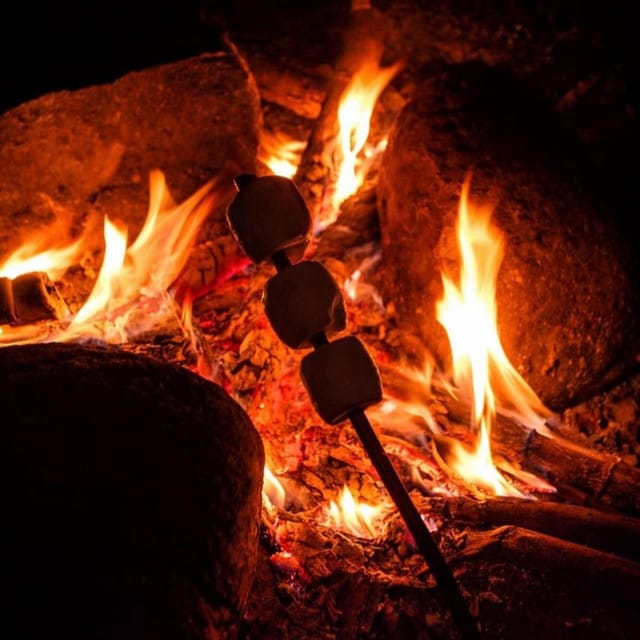 Wildfire