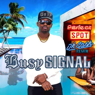 Perfect Spot (Oh Gosh Remix)