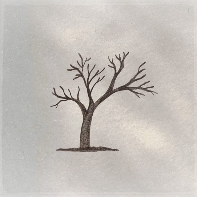 First Frost - Single