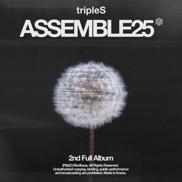 <ASSEMBLE25>