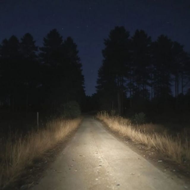 A time lapse of life - Single