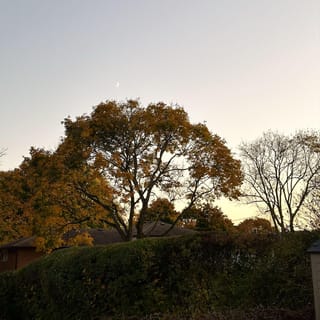 The Sun Feels Different in September