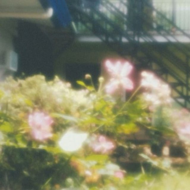 Desire to leave - Single