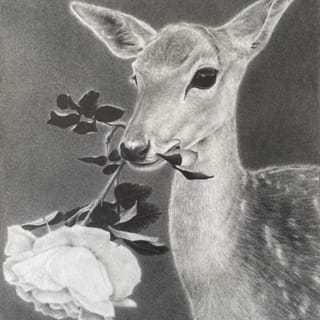 meaningful love (slowed instrumental)