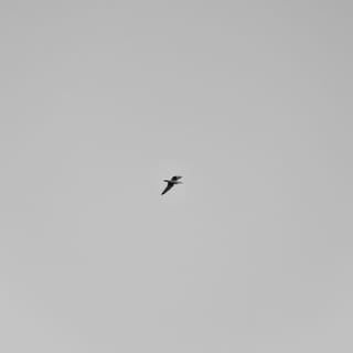 Melancholy