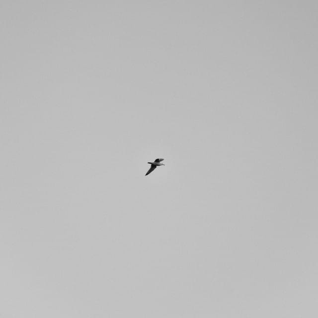 Melancholy