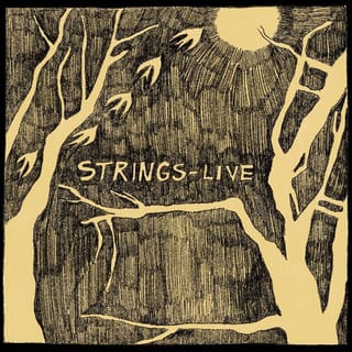 Strings Live