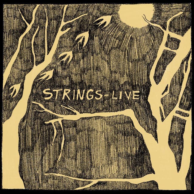 Strings Live