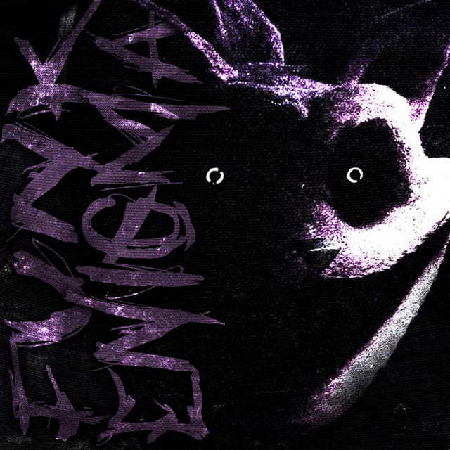 FUNK ENIGMA