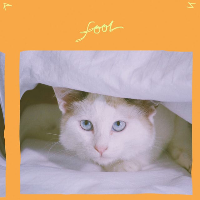 Fool