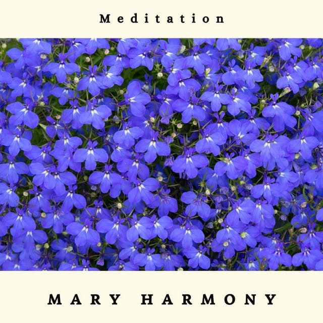 Meditation