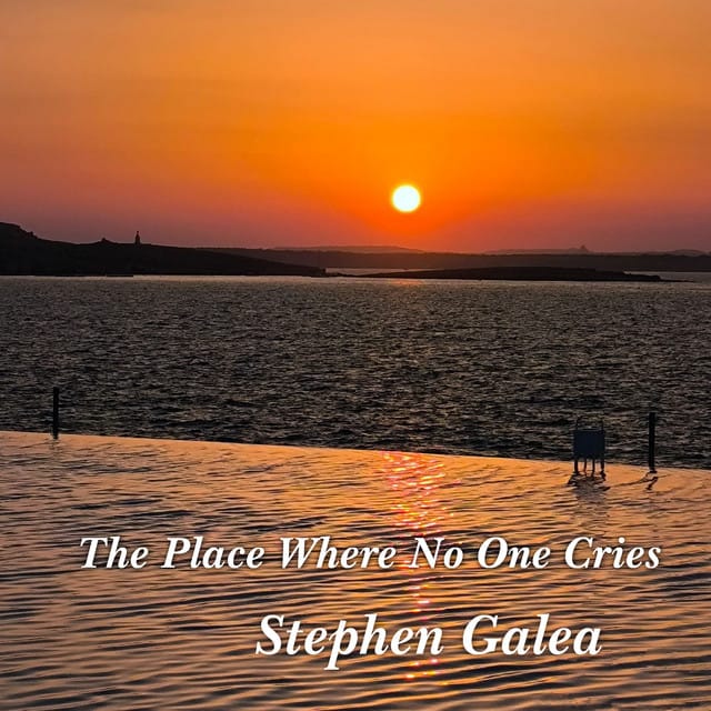 The Place Where No One Cries - Single