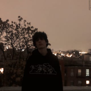 fine - Single