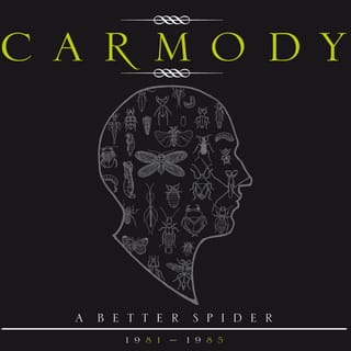 A Better Spider 1981-1985