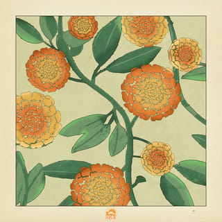 calendula