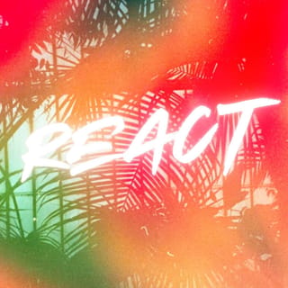 React