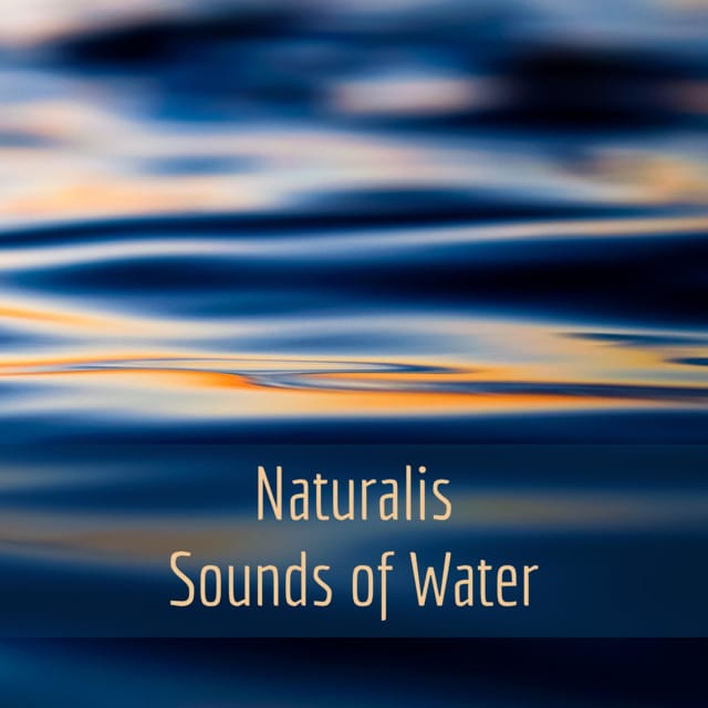 Sounds of Water (Binaural Audio)