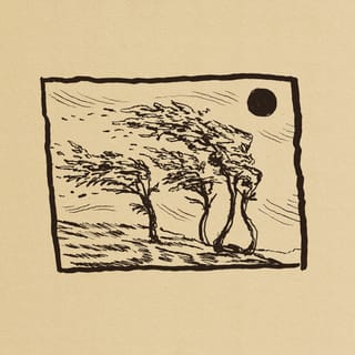 Lullaby for the Lost