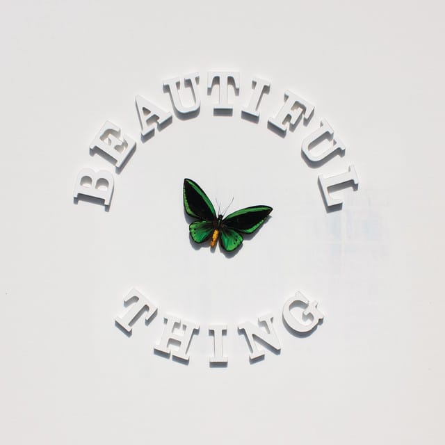 Beautiful Thing
