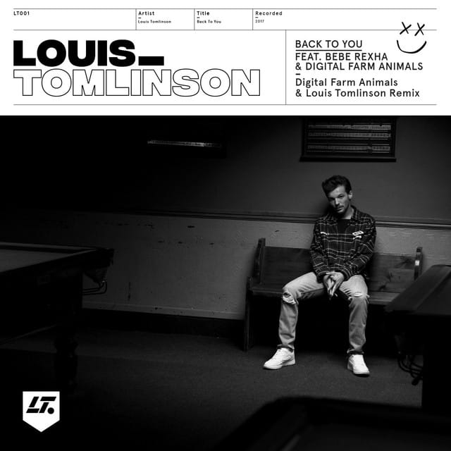 Back to You (feat. Bebe Rexha & Digital Farm Animals) - Single