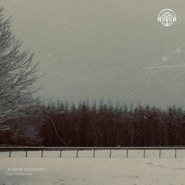 A Snowy Stillness