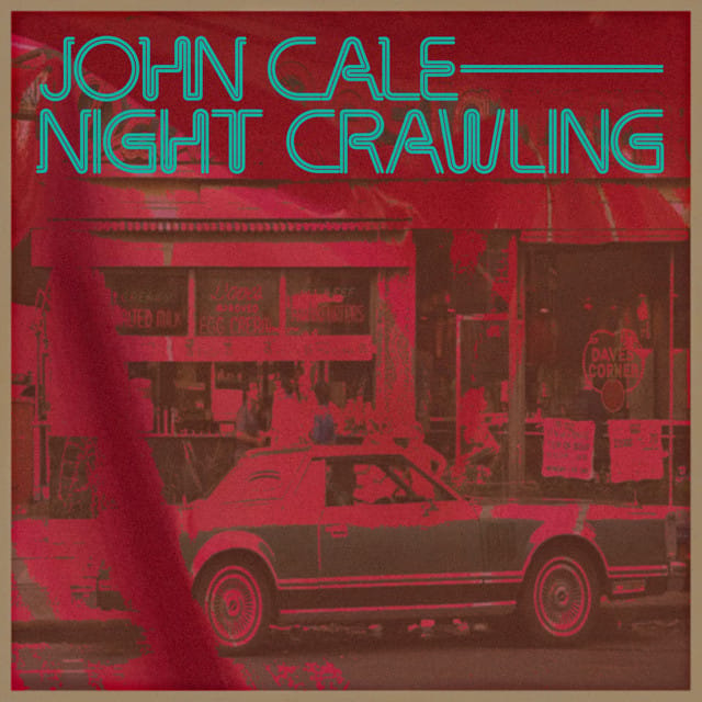 NIGHT CRAWLING