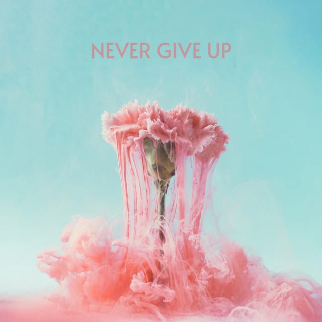 Never Give Up