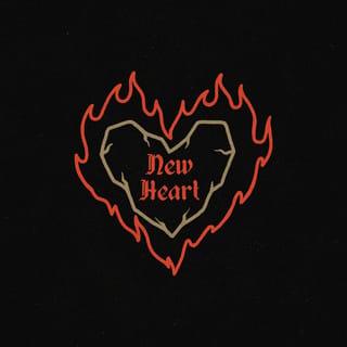New Heart