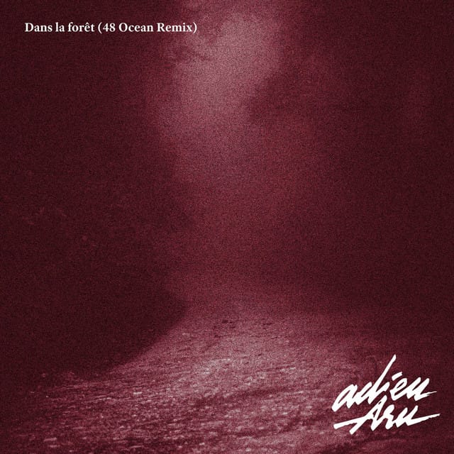 Dans la forêt (48 Ocean Remix)