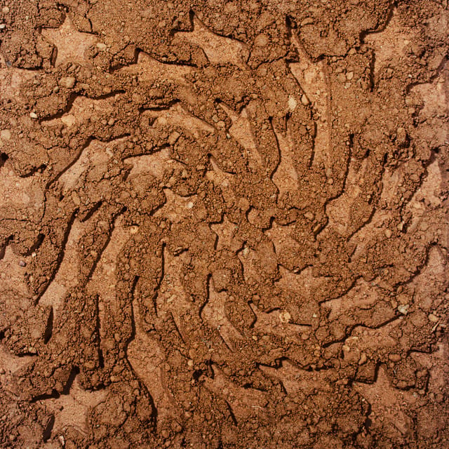 CD-R (unerthed)
