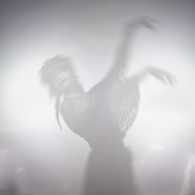 Tanz im Nebel