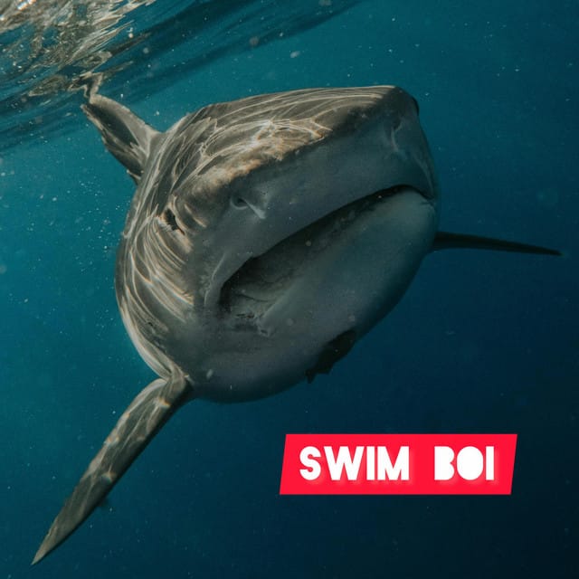 Swim Boi