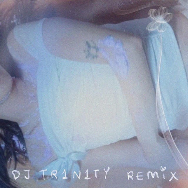 Ice Cream Days (DJ TR1N1TY remix)
