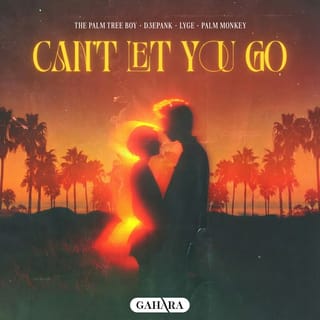 Can't Let You Go