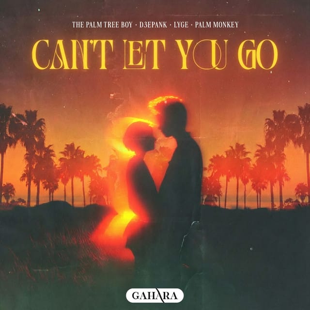 Can't Let You Go