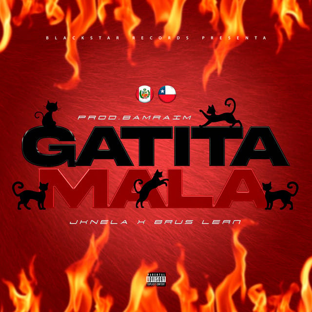 Gatita Mala